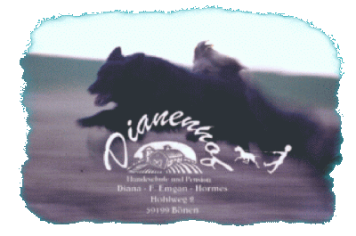 Der Dianenhof in B�nen