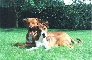 Donar und Gracy