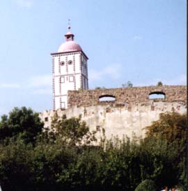 Pinschertreffen 1999 auf der Schallaburg